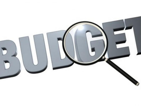 Pandemic budget woes