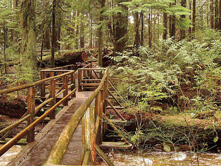 Reducing our Carbon Footprint