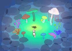 Fairy ring.jpg