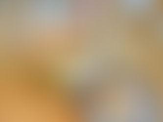 Schnelle Dinkelbrötchen