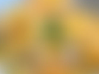 Fruchtige Fenchel-Basilikum-Gnocchi