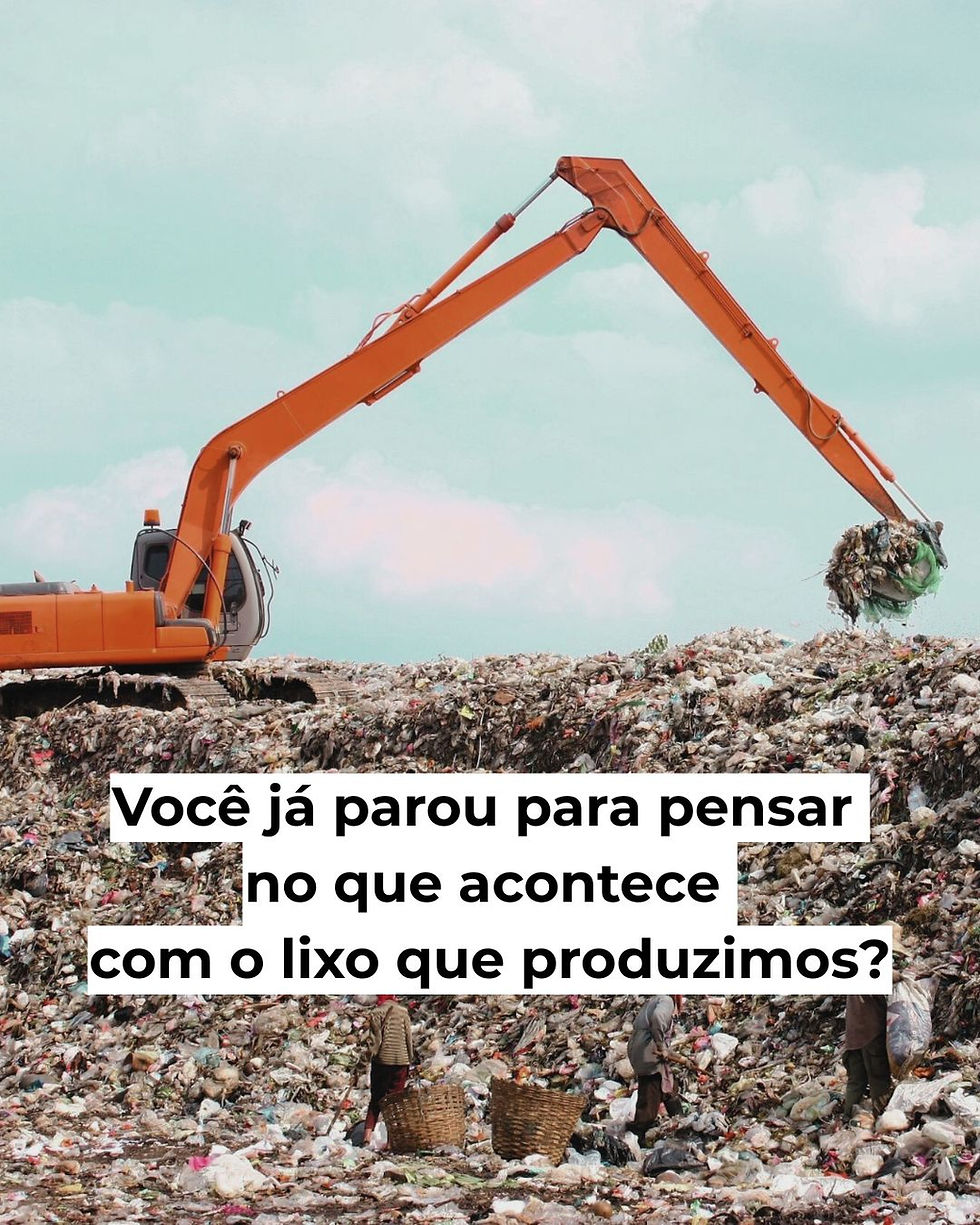 Hoje é o Dia do Meio Ambiente