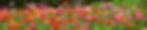 About-our-group-main-1920x397.jpg