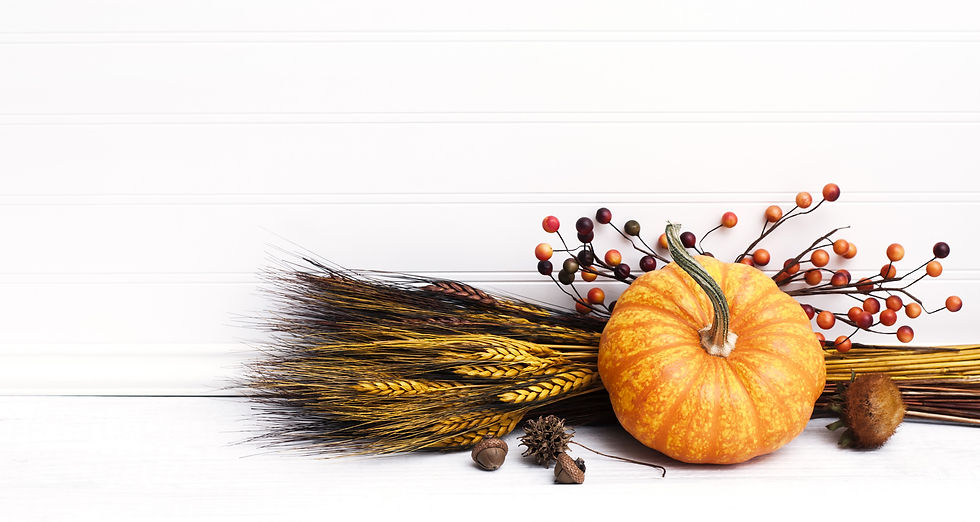 Thanksgiving_MainImage.jpg