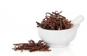 Cats Claw ASIAN Uncaria rhynchophylla Mood Relaxant and may help with Parkinsons Disease