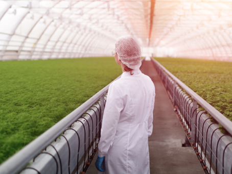 To Feed the World in 2050