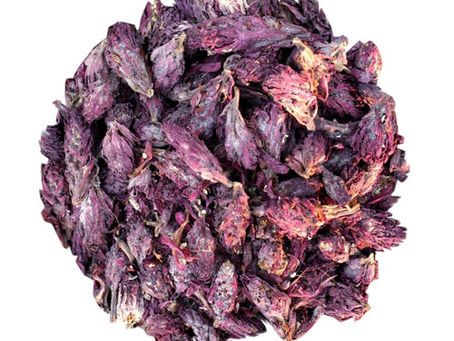 Pediculatis densiflora, is perhaps one of the strongest legal smokable herbs there is...