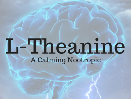 L-Theanine – A Calming Nootropic