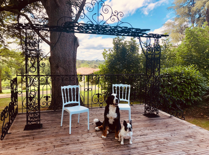 Dog friendly - Charming Manor House wedding venue in the Dordogne