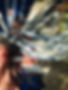IMG_1094.JPEG