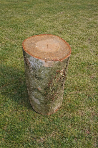 Březový špalek