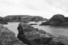DSC_0455.jpeg