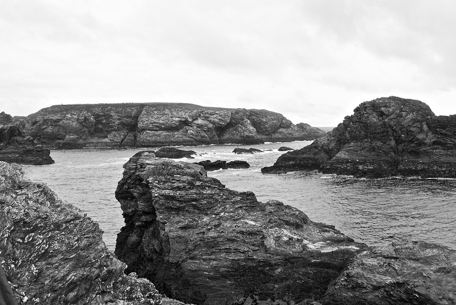 DSC_0455.jpeg