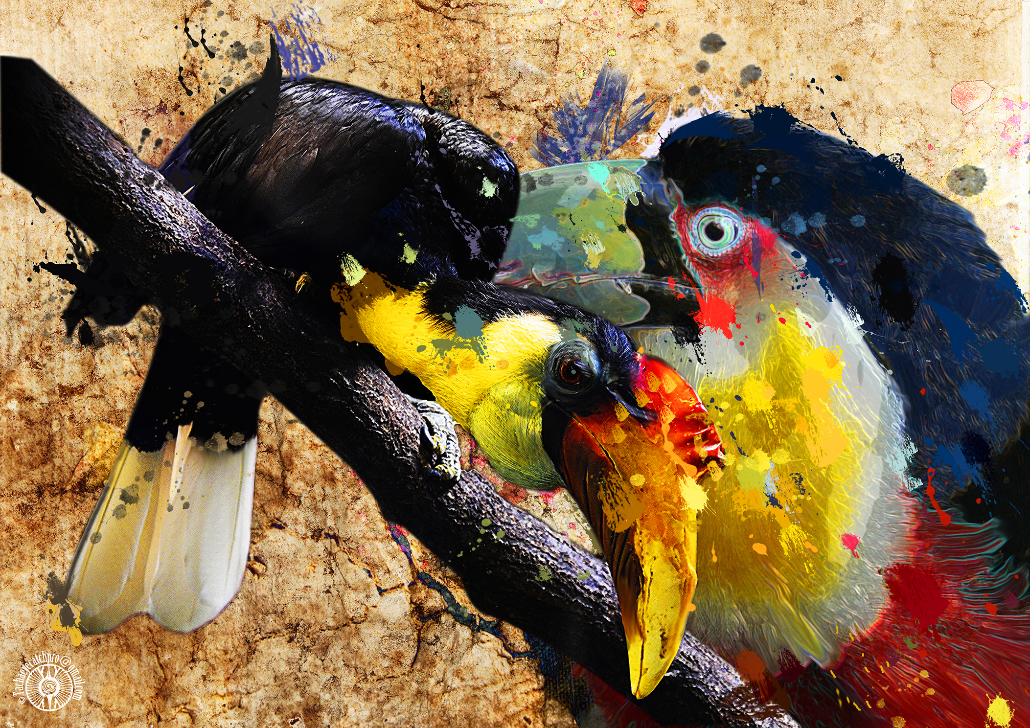 hombrill et toucan paint.jpg