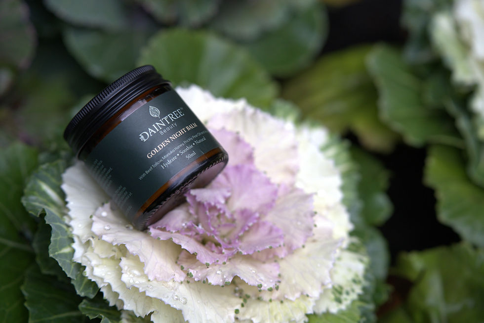 Thumbnail: DAINTREE GOLDEN BALM TALLOW CREAM