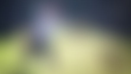 Hommage à Laurence Vordy