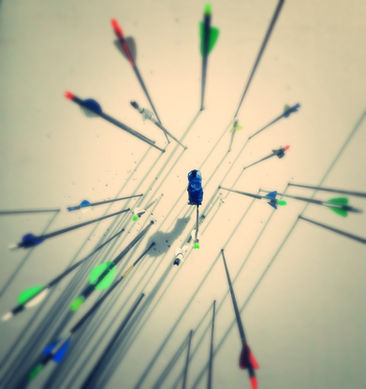 Invitation au Tir du Roy 2016