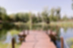Website_background_pic_1.jpeg