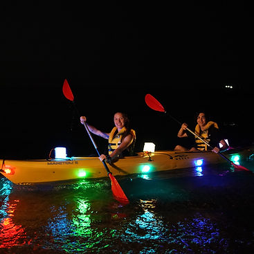 night tour booking-tandem.jpg