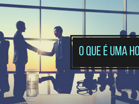 O que é uma HOLDING?