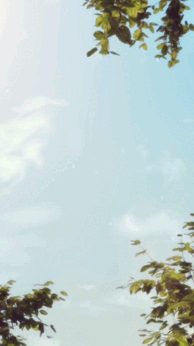 POSI.gif