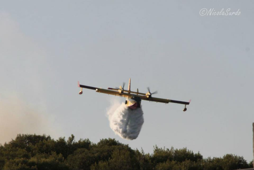 incendio - Puglia, Italia