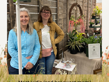 The Whimsy Garden Nursery