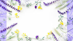 tsvety-polevye-yellow-flowers-purple-frame.jpg
