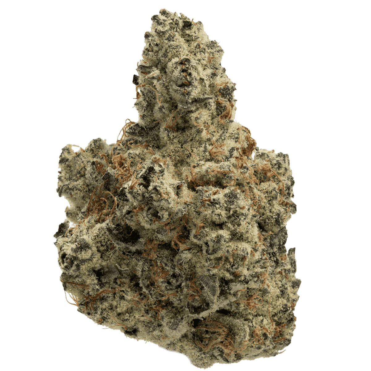 Order best weed online Devil’s Driver