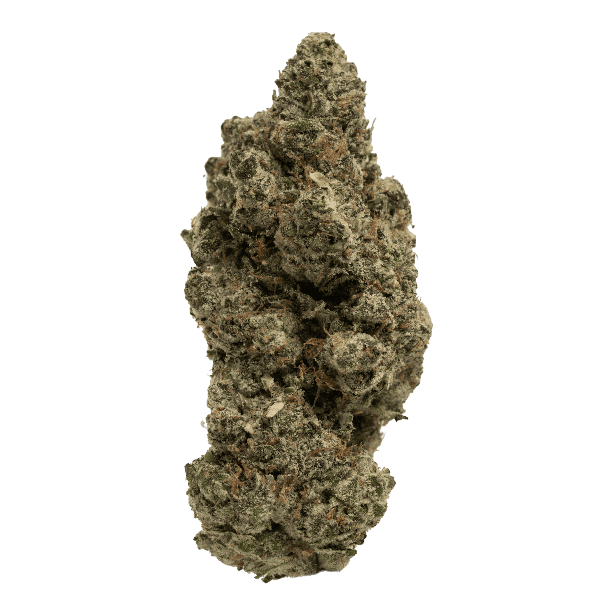 Buy Mule Fuel hybrid weed strain online