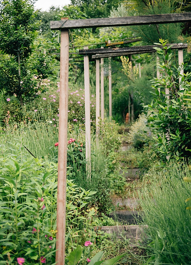 Vision Permakultur & regenrative Landwirtschaft Hof des Wandels