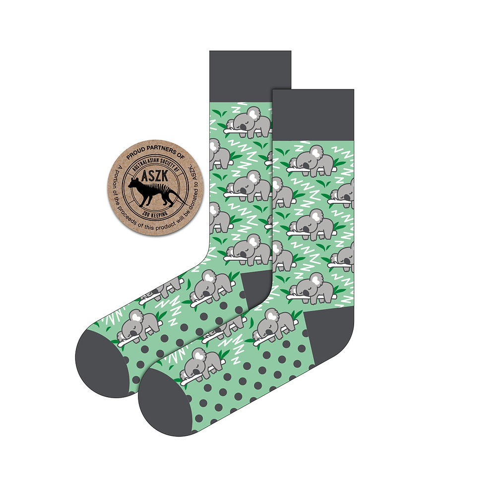 Sleeping Koala Mint Socks