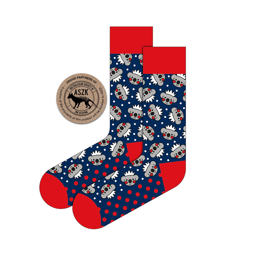Koala Crown Navy Socks