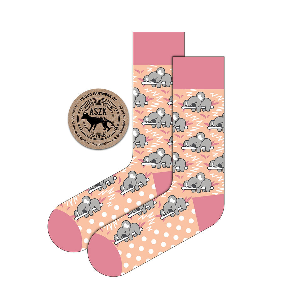 Sleeping Koala Peach Socks