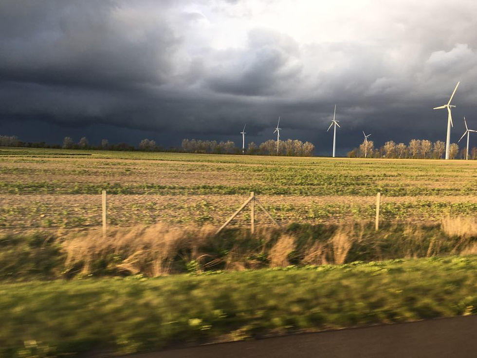 Friedland surroundings