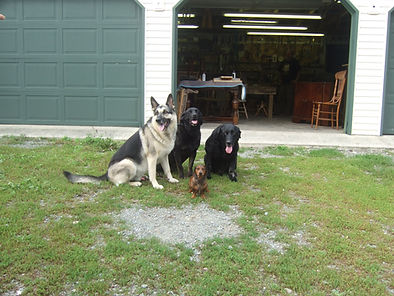 2007_08_23_059.jpg