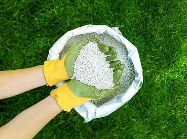Two-Hands-Holding-Granular-Fertilizer-3-by-2-ratio.jpeg