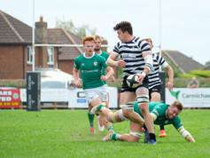 Chin v LIWG_12.jpg