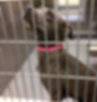 AVA in jail OwbNOtQ_jpg_large.jpg