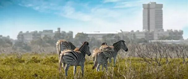 The Five Best Things About Being at NMMU