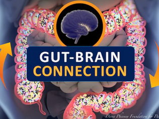 How Your Gut Talks To Your Brain – And Why It Matters
