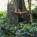 What the Forest Gives Us: Brain Benefits Hidden in Nature