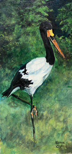 bird at the zoo