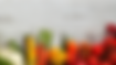 ALIMENTATION | Biodental Tournai