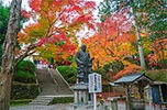 今熊野観音寺