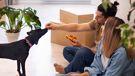 Déménagement et déménageur Mandres-les-Roses