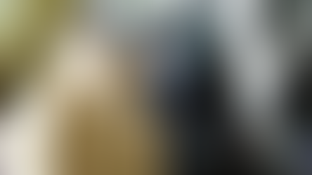 Déménagement et déménageur L Île-Saint-Denis