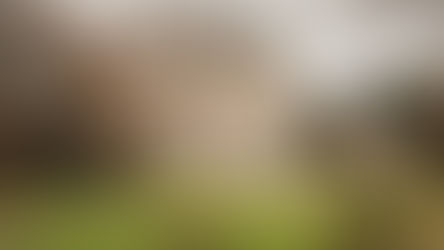 Blog 21 Florence Court