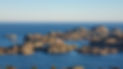 20230407_190635.jpg