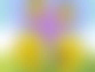 From Division to Oneness: A Modern-Day Sneetches Journey Through the Chakras